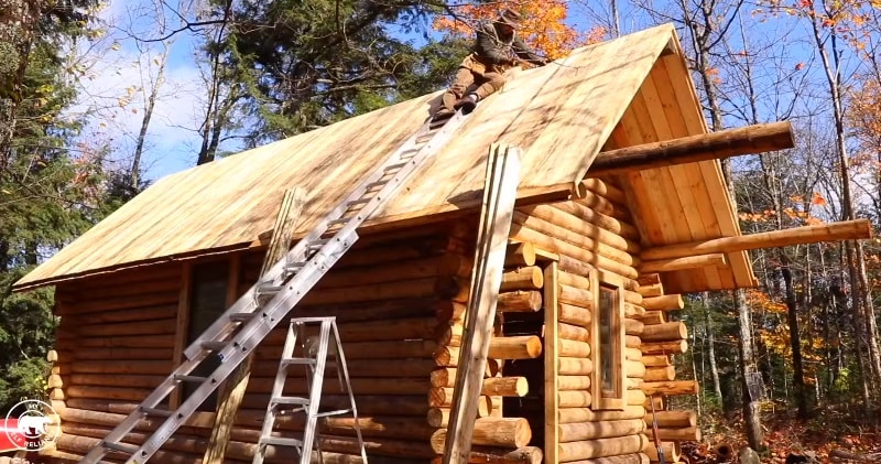 Log Cabin Timelapse Built By One Man In The Forest A Real Life