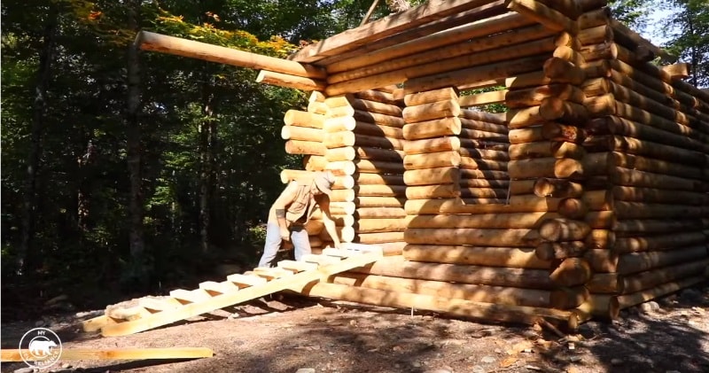 Log Cabin Timelapse Built By One Man In The Forest A Real Life