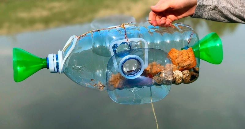 diy bait trap