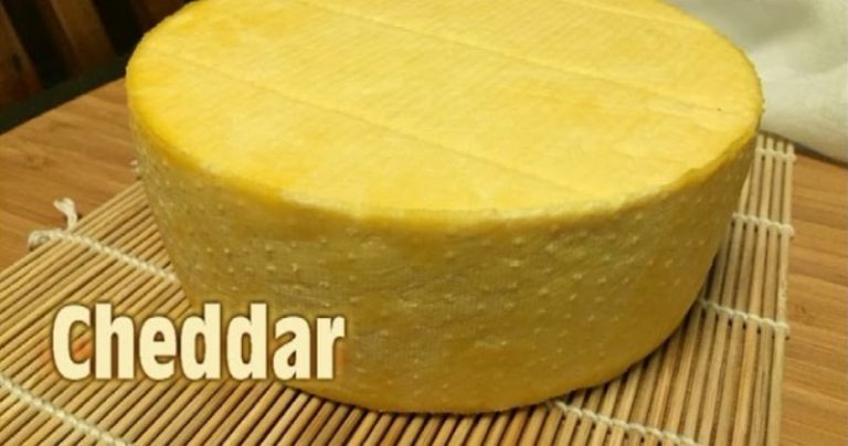 How To Make Cheddar Cheese At Home