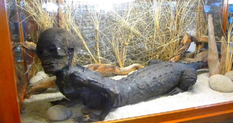 JAKE Incredible Hybrid Human Alligator Creature At Marsh’s Free Museum ...