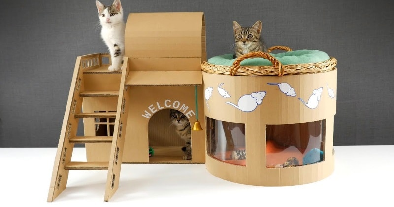 How To Make Amazing Kitten Cat  Pet House from Cardboard 