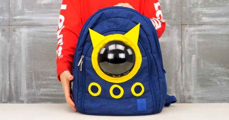 backpack you can put your cat in