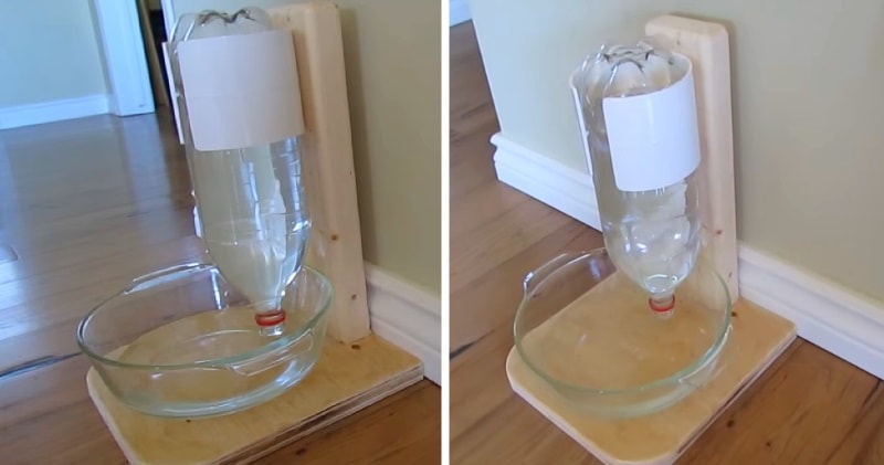 self dispensing water bowl