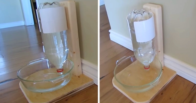 Self-Filling Pet Water Bowl - Make