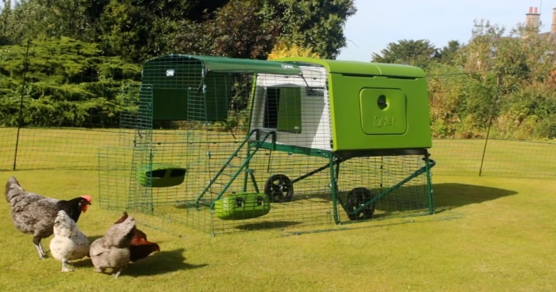 The Eglu Cube Chicken Coop An Ideal Way To Keep Up To 10 Chickens