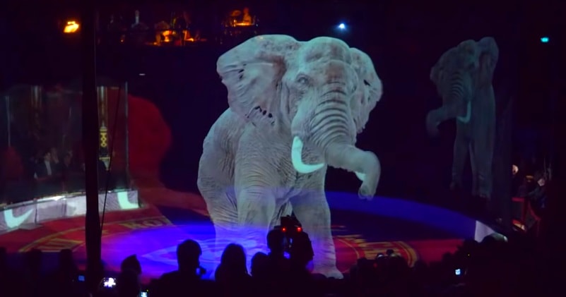 A Circus Replaced Real Animals With Realistic Hologram Animals