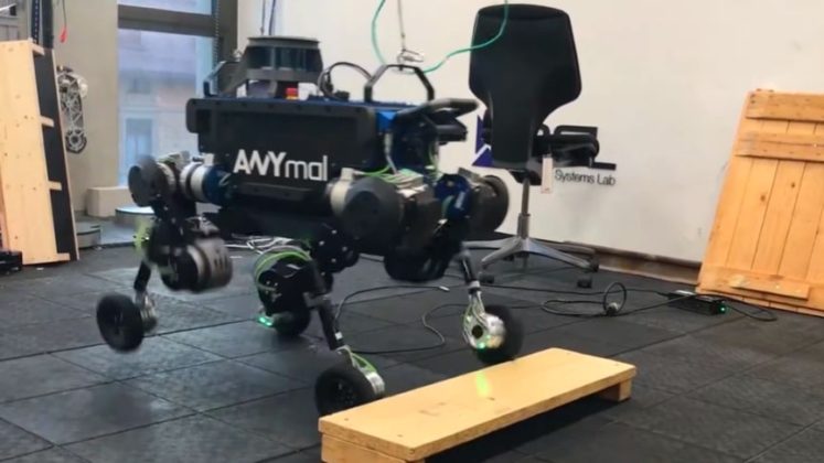 Hybrid Locomotion For Wheeled-Legged Robots - ANYmal Quadrupedal Robot