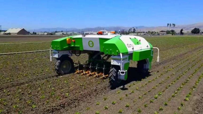 DINO Autonomous Mechanical Weeding Robot