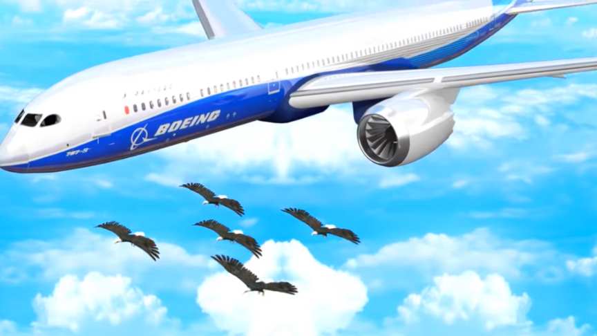 Aircraft Bird Strike Dangers 3D Animation