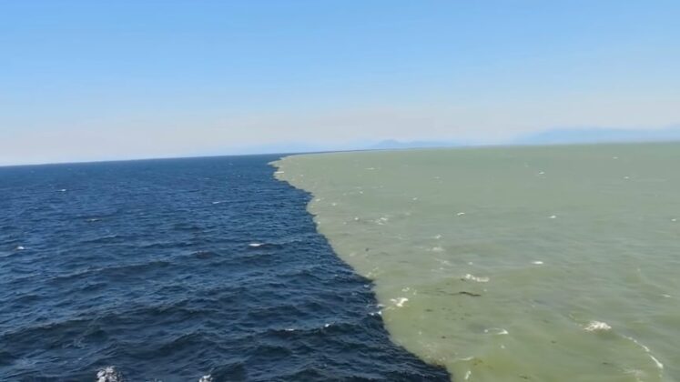 Fresh Water Meets Salt Sea Water Boundary Explained