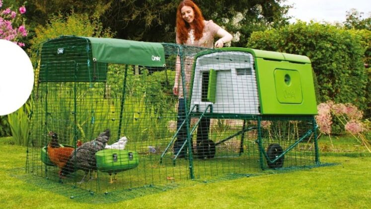 Eglu Cube Portable Chicken Coop For 10 Chickens