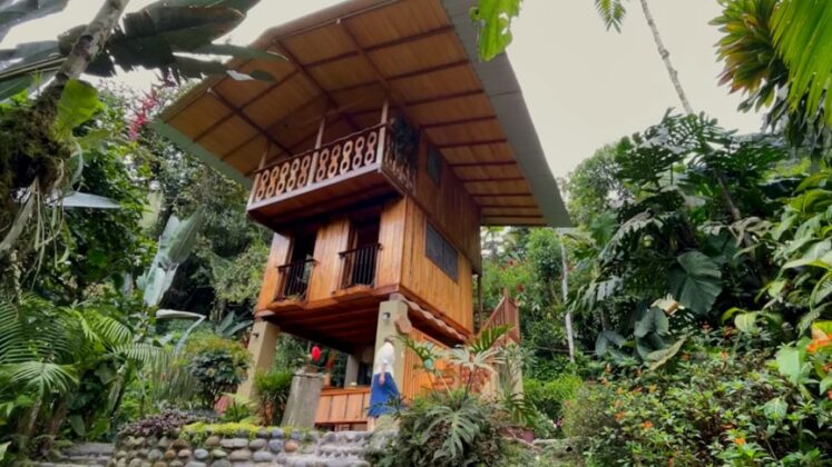 70-Year-Old Builds Tall Tree House Amid Rainforest Paradise